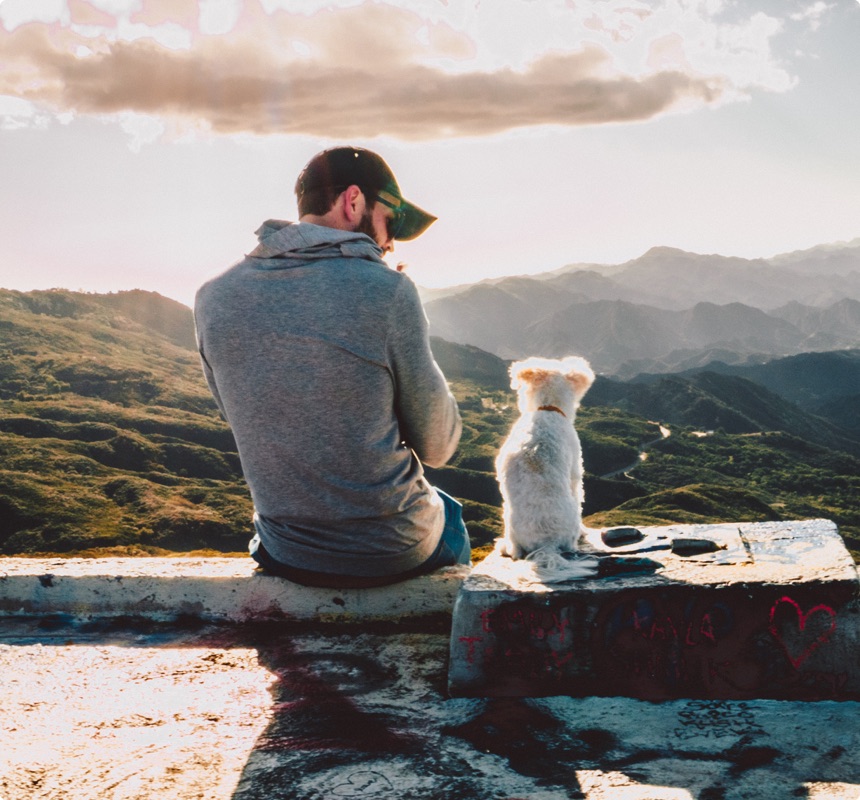 Dog Sitters & Pet Care 